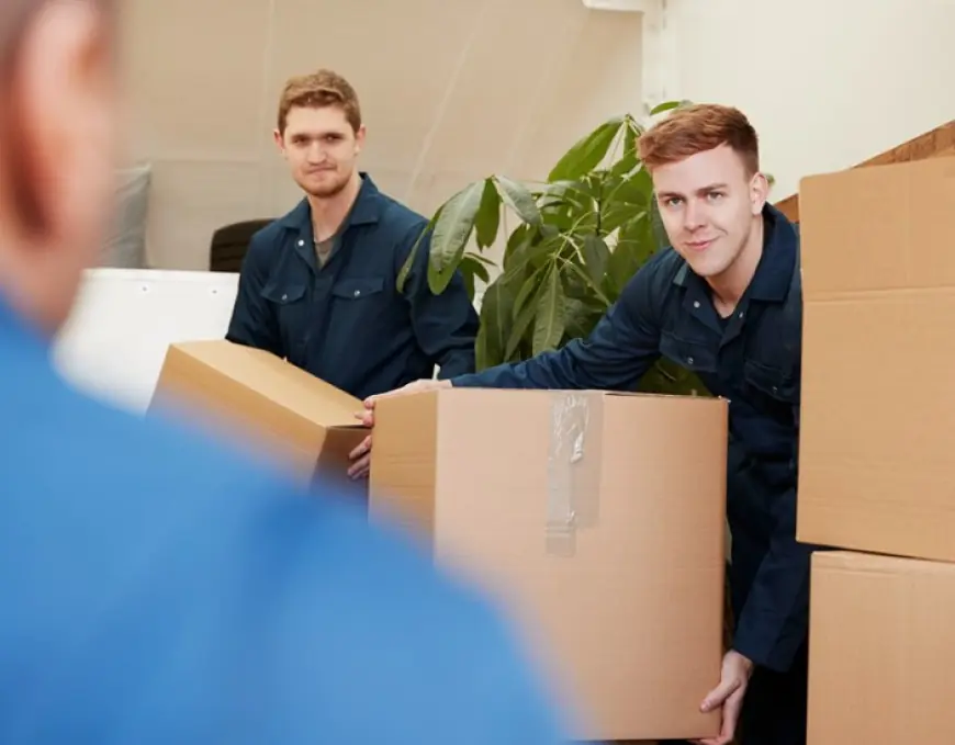 Removal Companies Near Me: Your Trusted Moving Partner