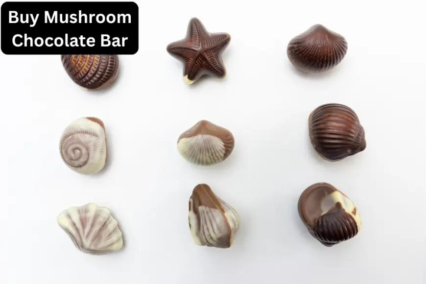 Buy Mushroom Chocolate Bar: A Complete Guide to Understanding, Benefits, and Where to Buy