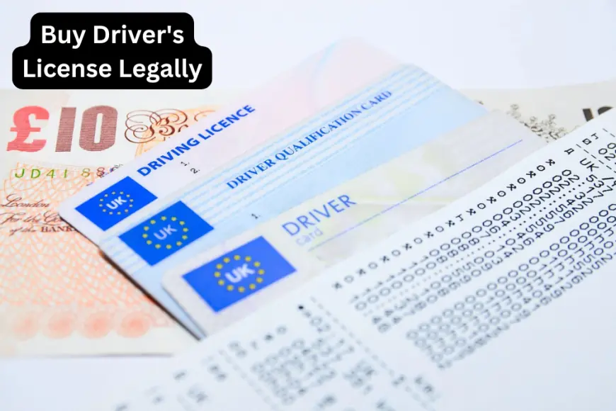 Buy Driver's License Legally: Everything You Need to Know