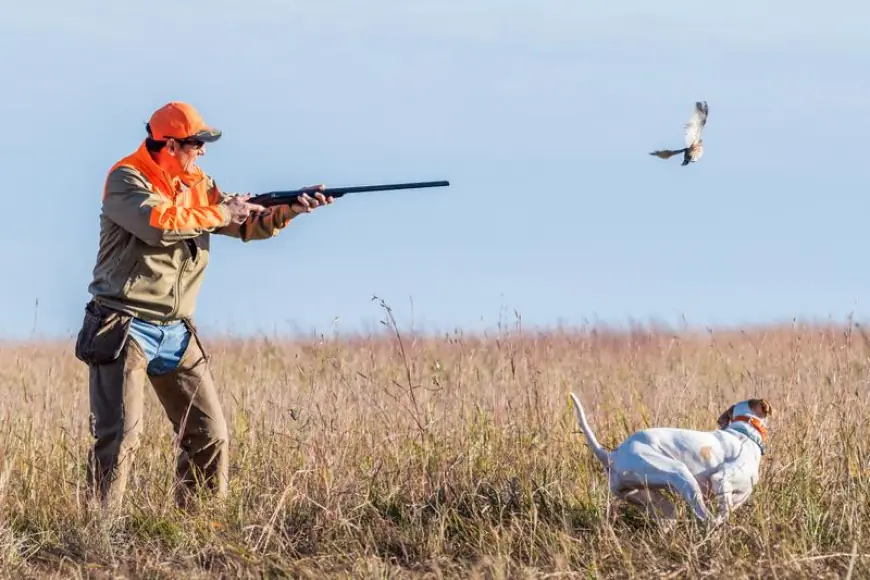 Nebraska’s Pheasant Hunting Regulations: What Every Hunter Should Know