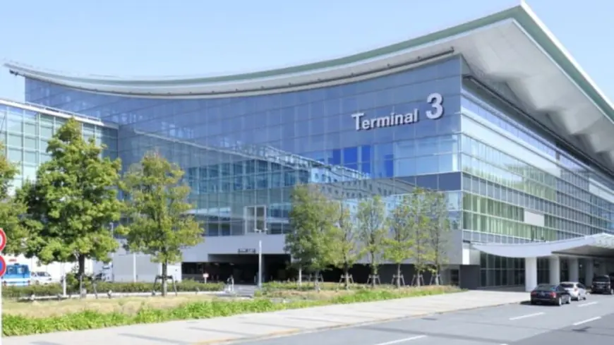 Discover the Turkish Airlines Heathrow Terminal Experience