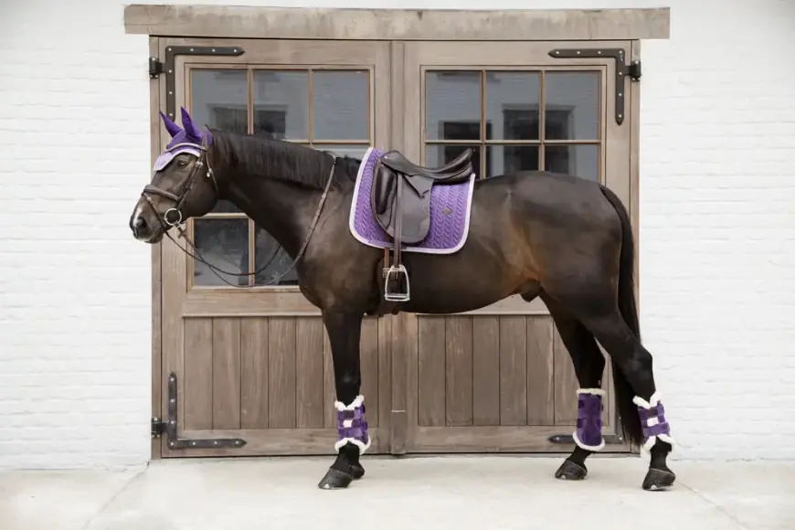 Are Your Dressage Horse Boots Doing More Harm Than Good?