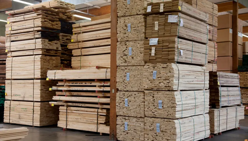 Exploring the Manufacturing Process Behind High-Quality Plywood Products