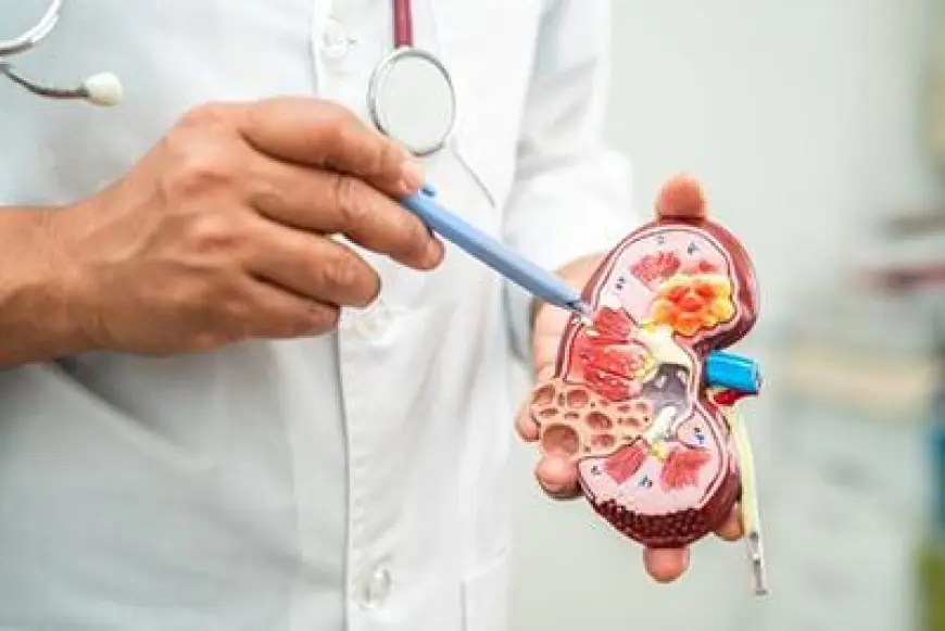 Discover Mumbai's Top Nephrologists for Quality Kidney Care