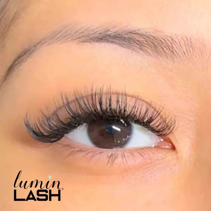 Lash Training in Houston: Empowering Your Beauty Career