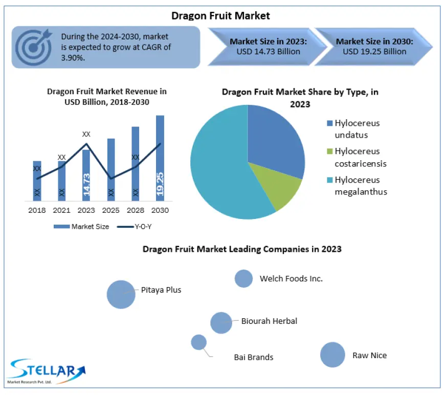 Dragon Fruit Market Size, Opportunities Assessment And Covid-19 Impact Analysis to 2030