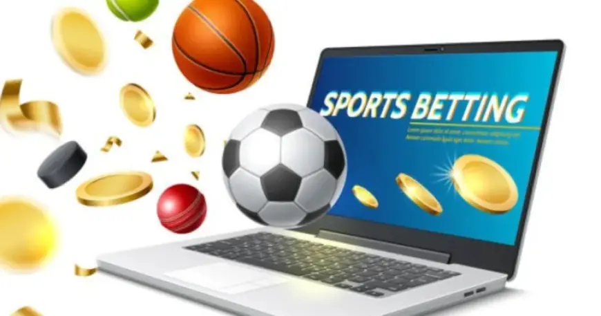 How to create a sports betting ID – Sportsnews24x7.in