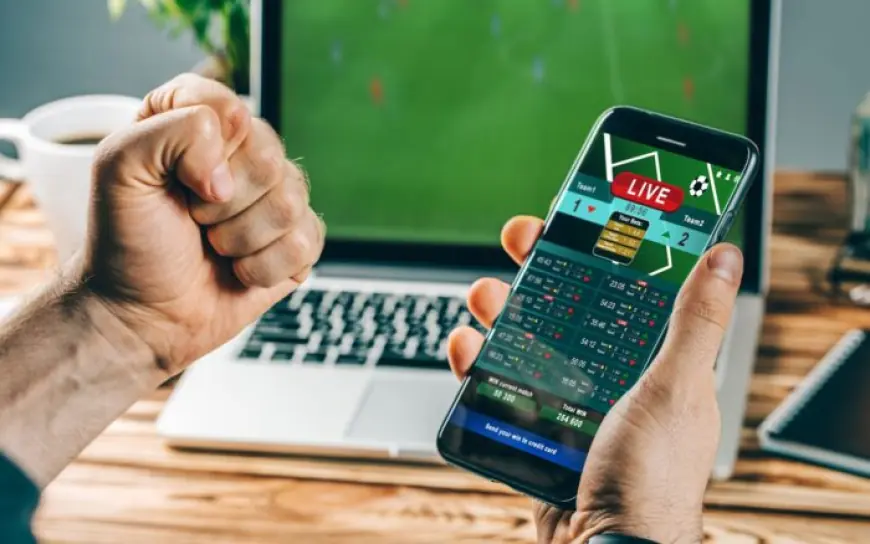 Khelraja: The Leading Platform for Online Cricket Betting Apps