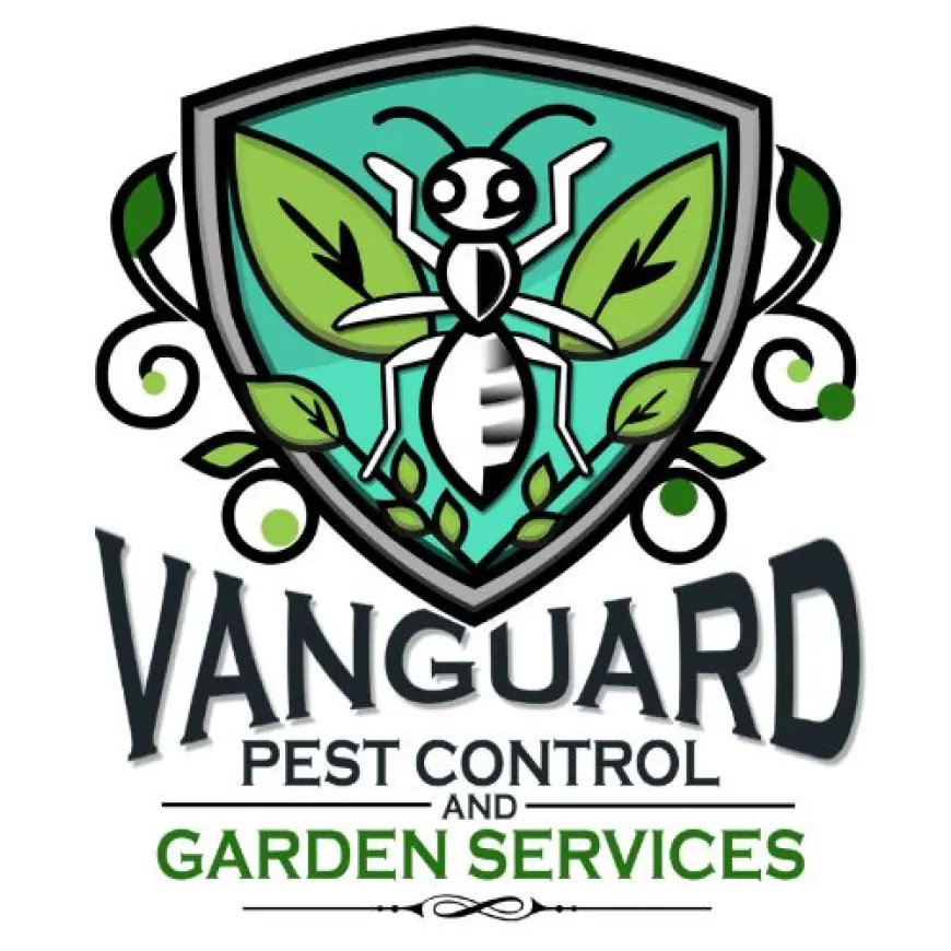 The Benefits of Choosing Vanguard Eco Solutions for Melbourne Pest Control