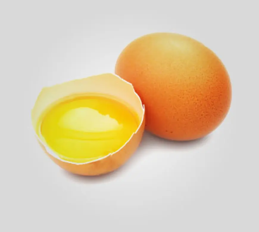 Egg Wholesale Price in Namakkal  | Namakkal Egg Production