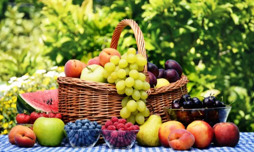 Global Fruits Market Share, Size & Analysis | 2025-2033