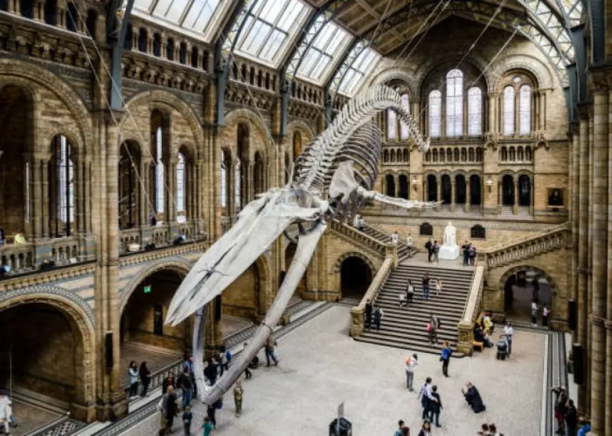 Top 5 Museums and Art Galleries You Can’t Miss in the UK