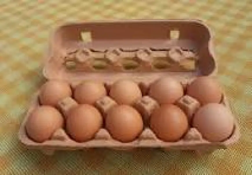 The Benefits of Buying Egg Cartons in Bulk