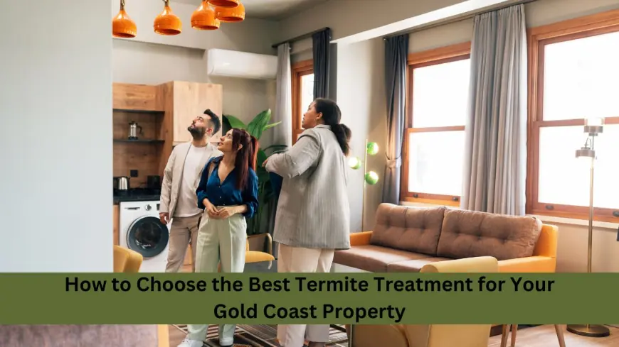 How to Choose the Best Termite Treatment for Your Gold Coast Property