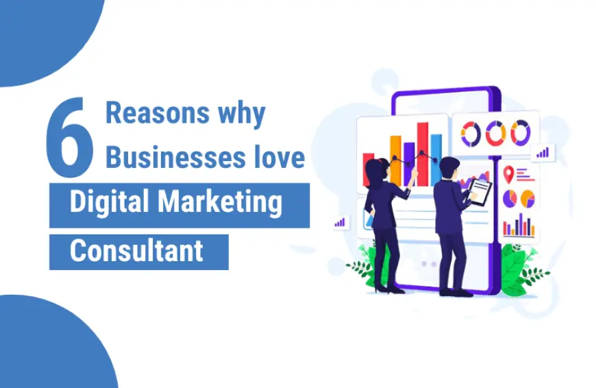 6 Reasons why Businesses love Digital Marketing Consultant