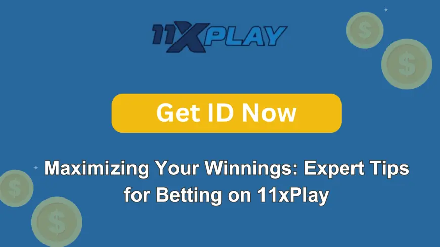 Maximizing Your Winnings: Expert Tips for Betting on 11xPlay