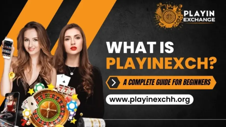 What Is Playinexch? A Complete Guide for Beginners