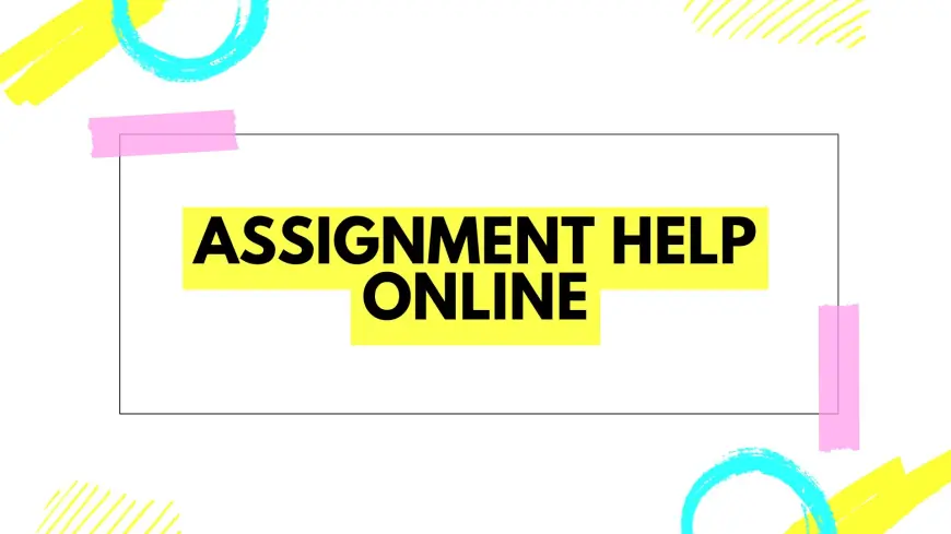 Expert Assignment Help Online: Achieve Academic Success with Professional Assistance