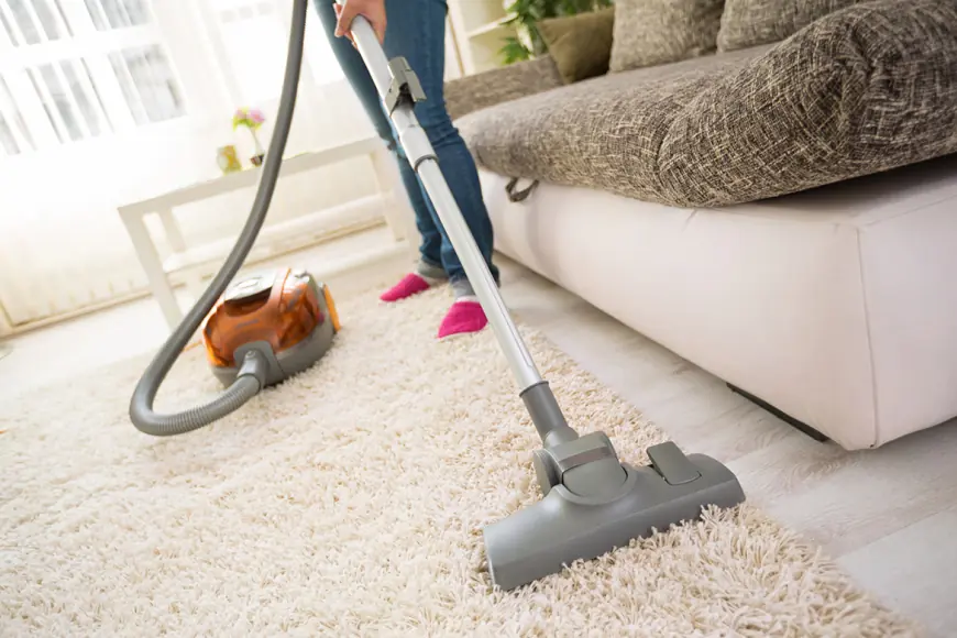 Comprehensive Guide to Carpet Cleaning Services