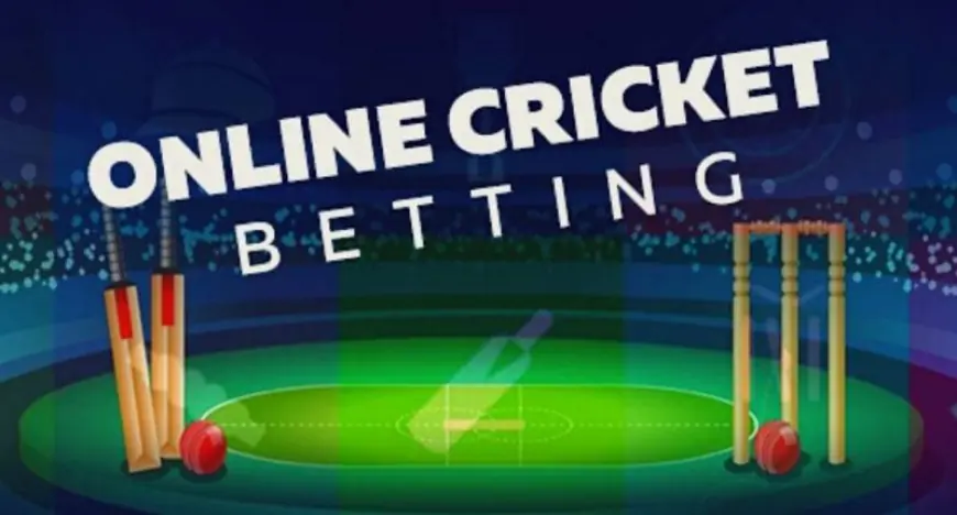 How to play online cricket betting | Sportreport.in