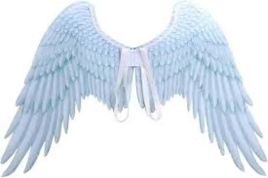 Angel Feather Wings: A Heavenly Accessory for Every Occasion