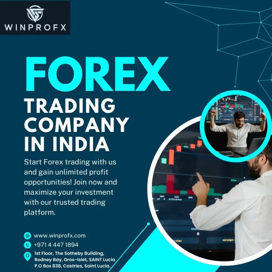 How to Choose the Right Forex Trading Company in India