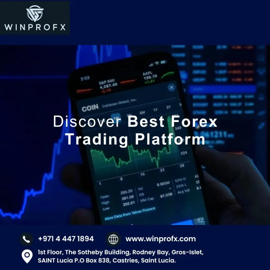 Explore the Best Forex Trading Platform Today