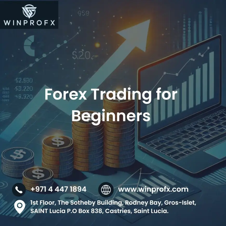 Exploring Forex Trading for Beginners