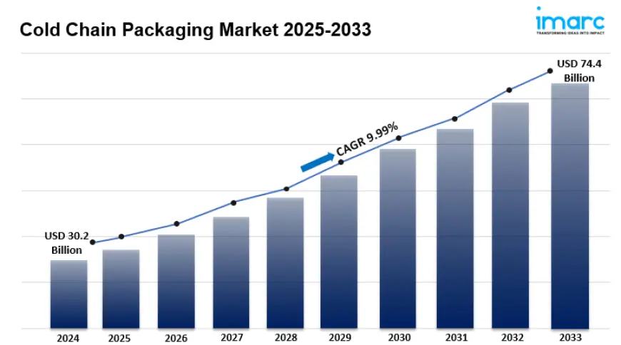 Cold Chain Packaging Market Share, Demand, Key Players, Growth and Industry Trends 2025-2033