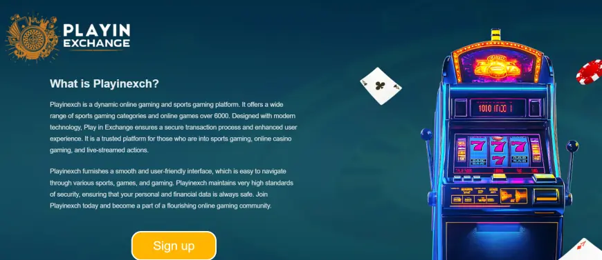 Join Playinexch : Secure, Seamless, and Thrilling Casino Games