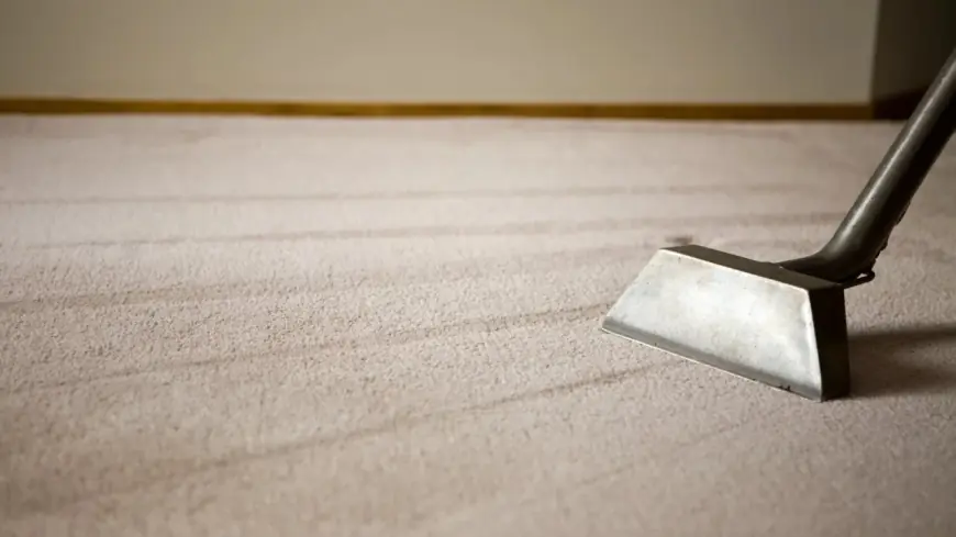 Why Carpet Cleaning Matters for Your Home’s Wellness