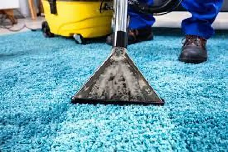 Why Clean Carpets Are Essential for a Healthy and Comfortable Home