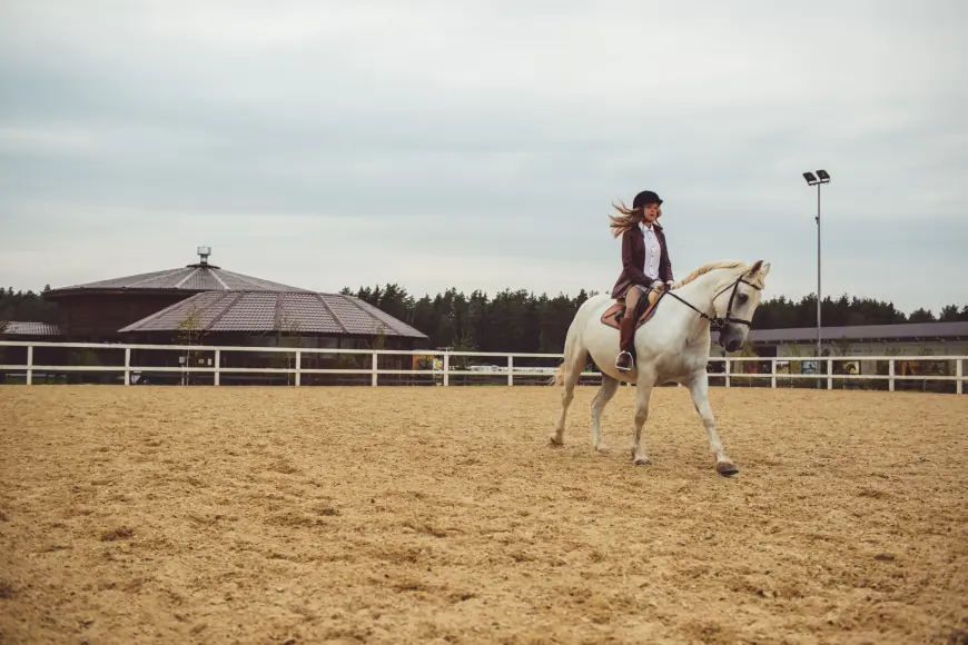 Performance Footing: Enhancing Safety and Comfort for Horses and Humans