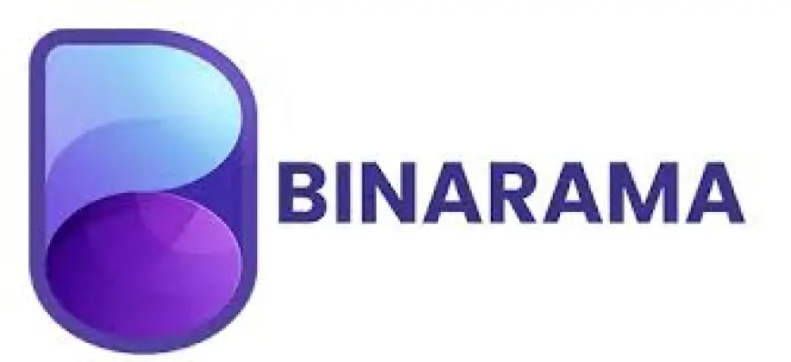 Top Website Development Company in USA - Binarama