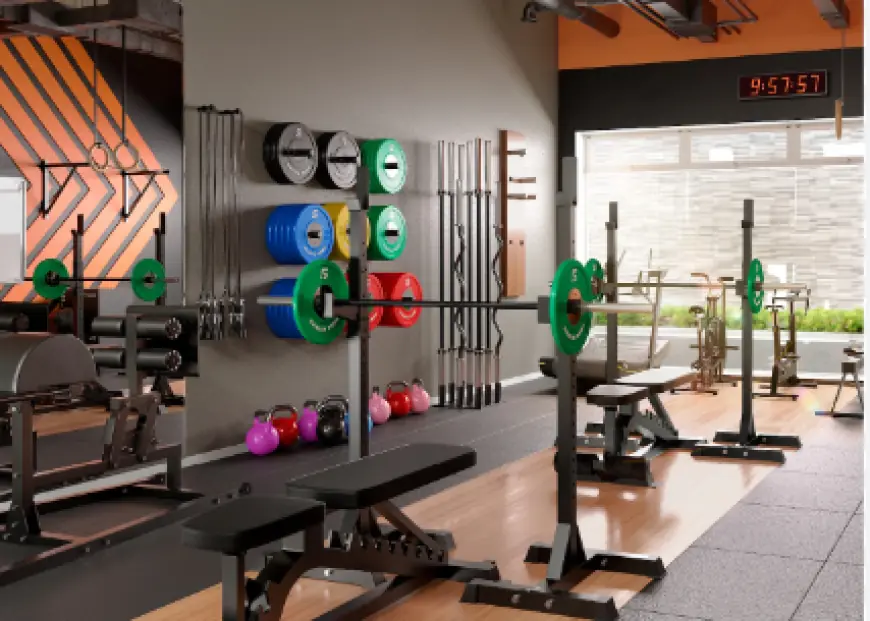 Fitness Equipment Market Size, Industry Trends, Share, Report 2024-2031