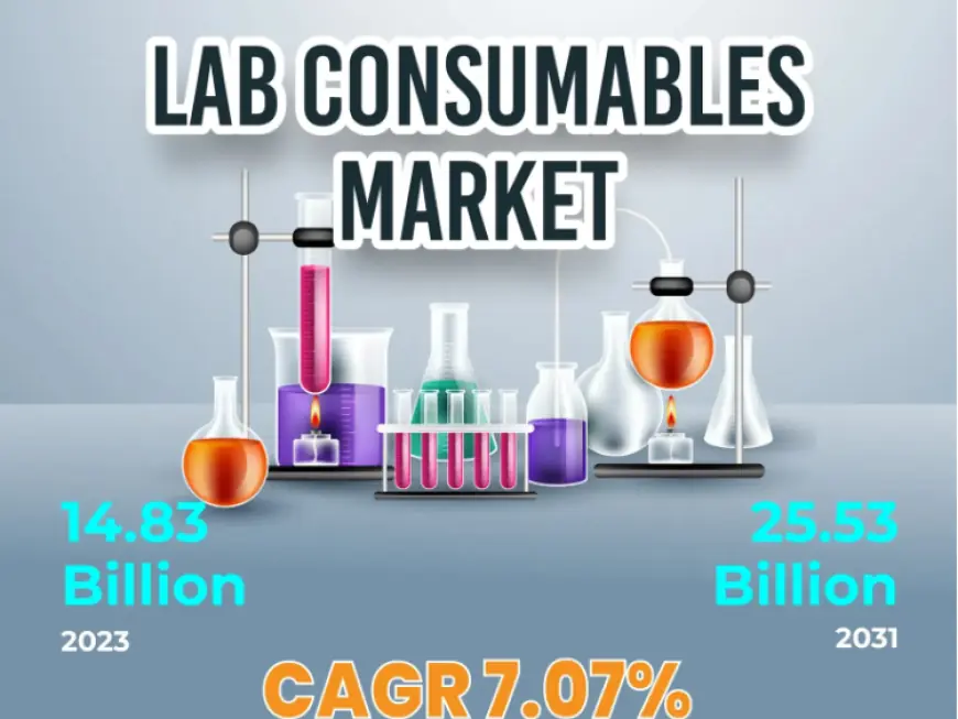 Lab Consumables Market Size and Share Analysis: Insights into 2031 Forecast