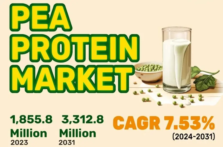 Pea Protein Market | Cargill, ETprotein, Taj Agro, Foodchem Corp 2031 Forecast