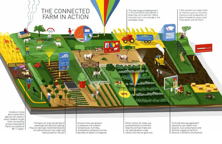 Se prevé que el mercado de agricultura inteligente registre una tasa de crecimiento anual compuesta del 15,55 % hasta 2030 | Kings Research