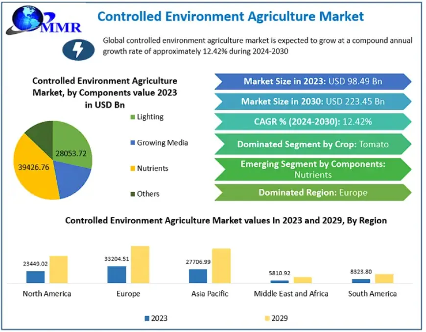 Controlled Environment Agriculture Market Size, Share, Revenue, and Worth Statistics | 2024-2030