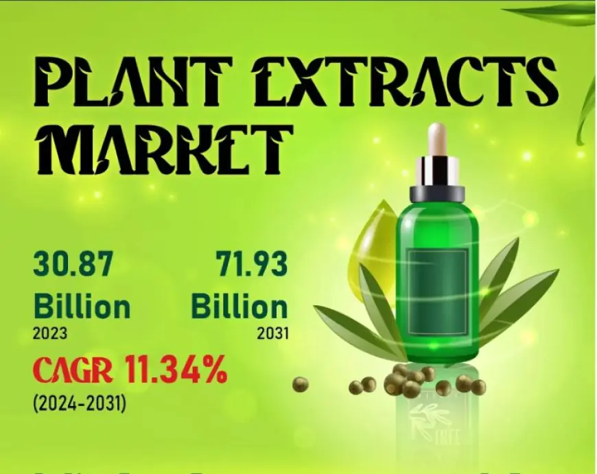 Plant Extracts Market Analysis Predicts Expansion to US$71.93 Billion by 2031