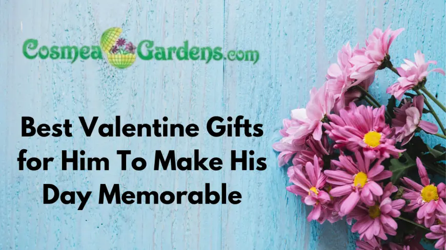 Best Valentine Gifts for Him To Make His Day Memorable