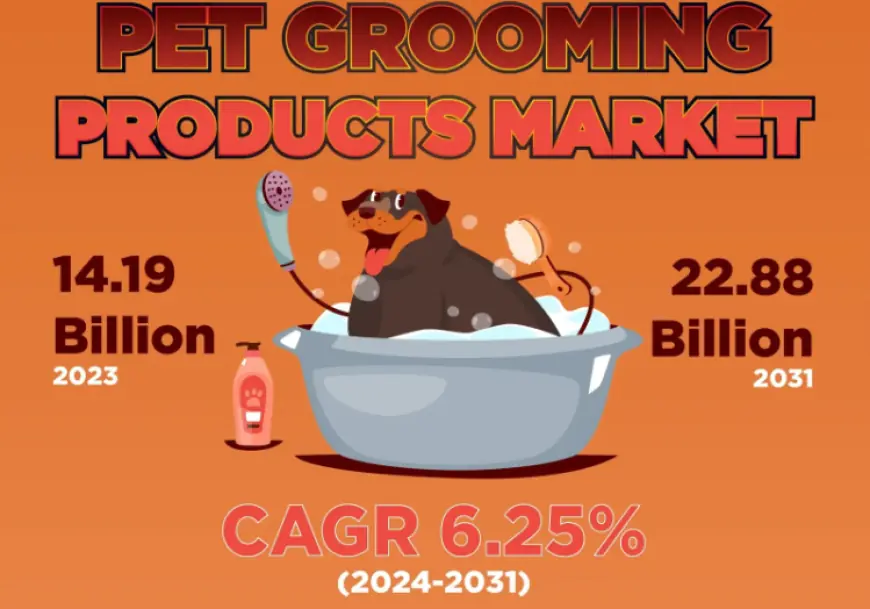 Pet Grooming Products Market Size, Share, Industry Trends Overview & Demand by 2031