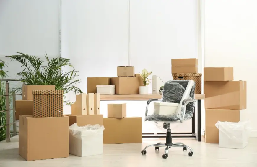 A Seamless Transition: Your Guide to Professional Brisbane to Sydney Removalist Services