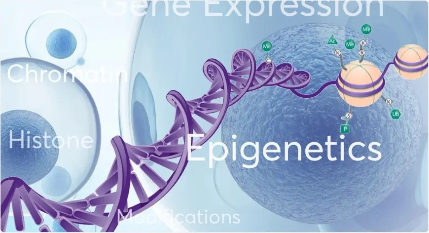 Epigenetics Market Overview Highlighting Major Drivers | Abcam plc, Agilent Technologies, Inc., Bio-Techne