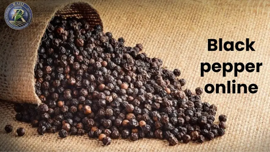 Buy Black Pepper Online – Enhance Your Health and Taste with Royal Agri Organic Products