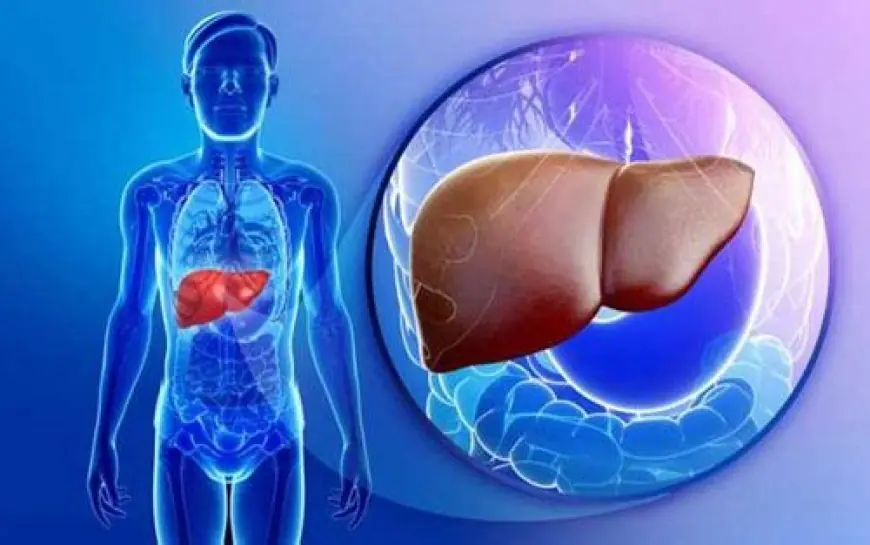 Autoimmune Hepatitis Treatment Market Share Growth Factors To 2033