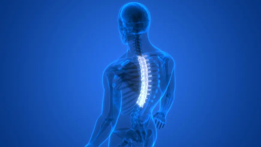 How to Choose the Best Rehabilitation Center for Spinal Cord Injury in Hyderabad