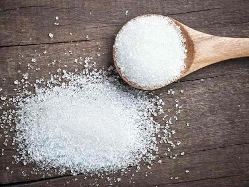 Food-Grade Phosphate Market Development Scenario 2033