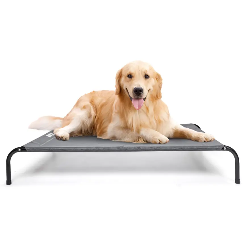 The Ultimate Guide to Choosing the Best Dog Beds for Your Furry Friend