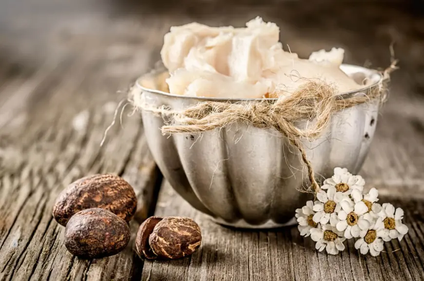 Top Best Shea Butter Manufacturers and Suppliers in India